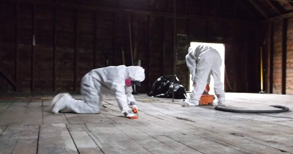 Professional Mold Remediation in Boston MA