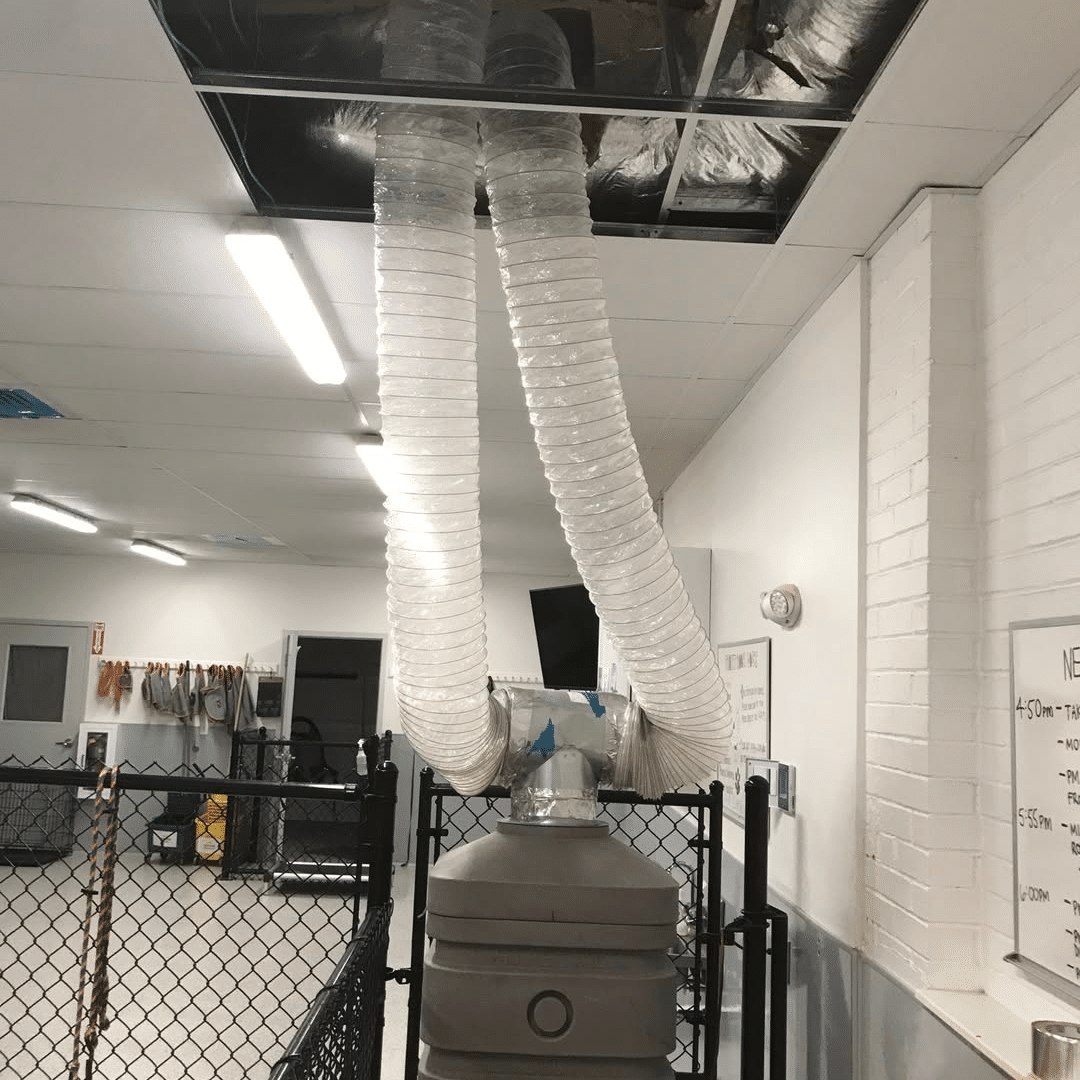 How Aeroseal Improves Your Home’s Air Quality